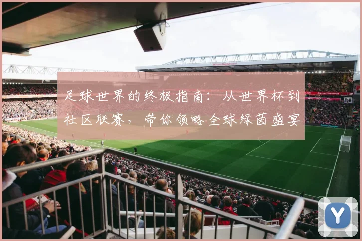 足球世界的终极指南：从世界杯到社区联赛，带你领略全球绿茵盛宴