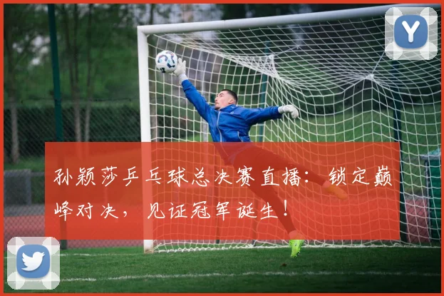 孙颖莎乒乓球总决赛直播：锁定巅峰对决，见证冠军诞生！