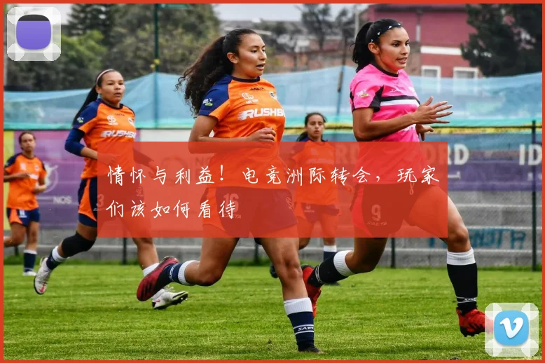 情怀与利益！电竞洲际转会，玩家们该如何看待